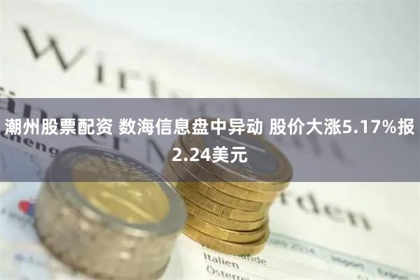 潮州股票配资 数海信息盘中异动 股价大涨5.17%报2.24美元