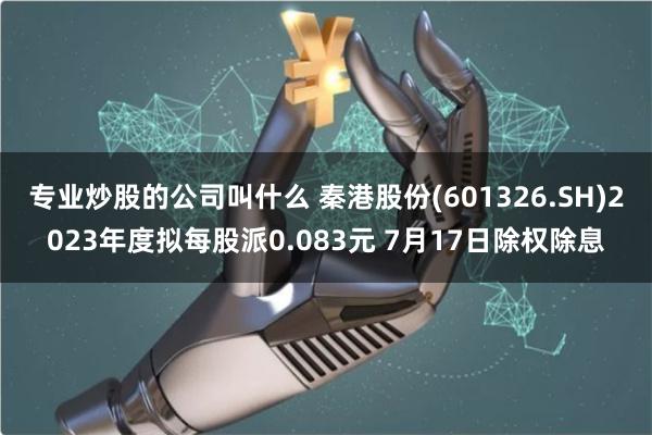 专业炒股的公司叫什么 秦港股份(601326.SH)2023年度拟每股派0.083元 7月17日除权除息