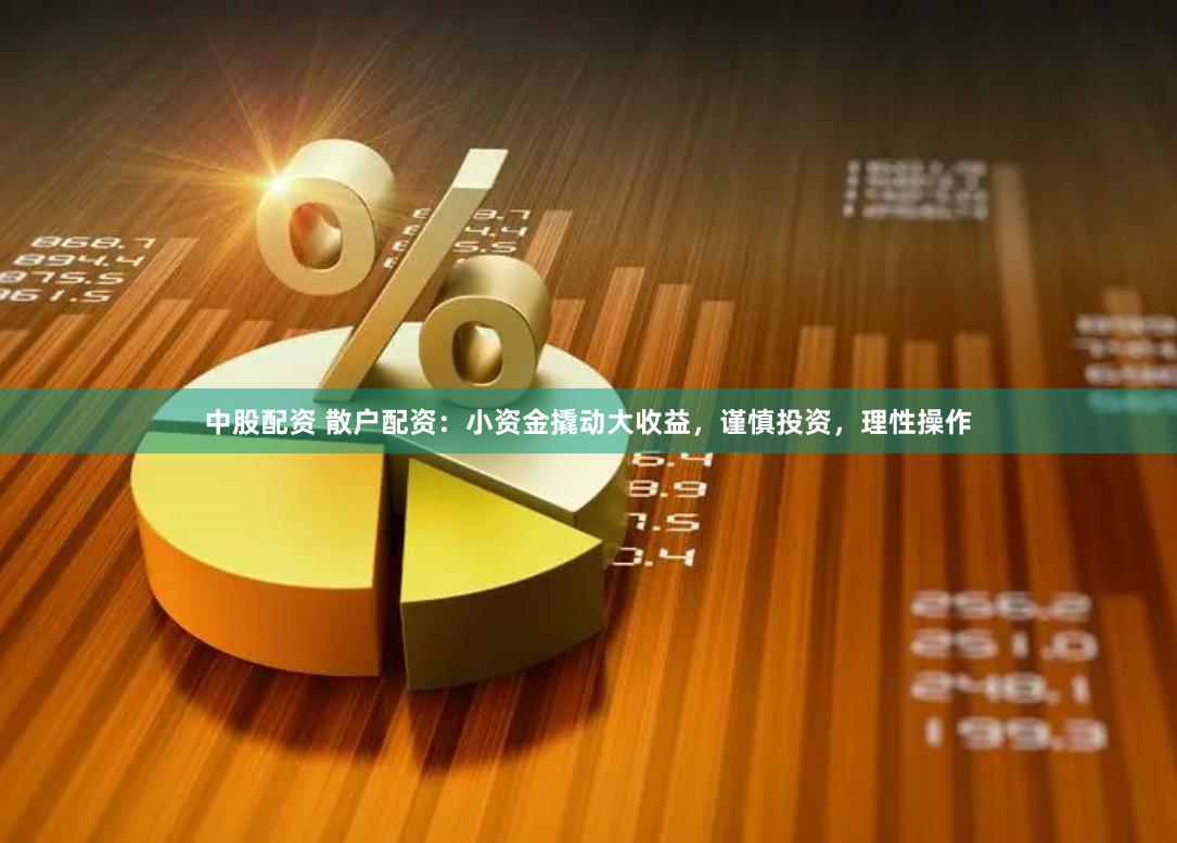 中股配资 散户配资:小资金撬动大收益,谨慎投资,理性操作