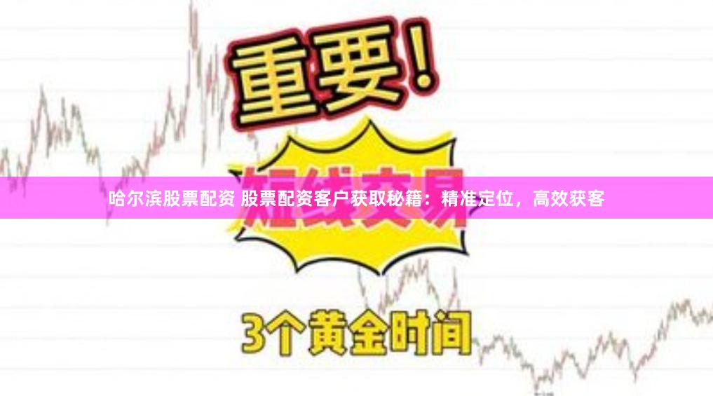 哈尔滨股票配资 股票配资客户获取秘籍：精准定位，高效获客